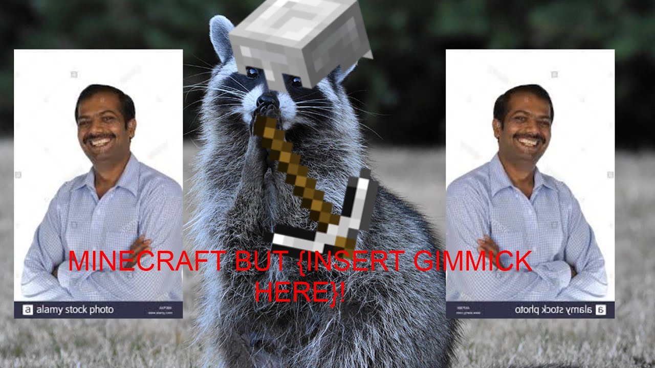 Raccoons In Minecraft