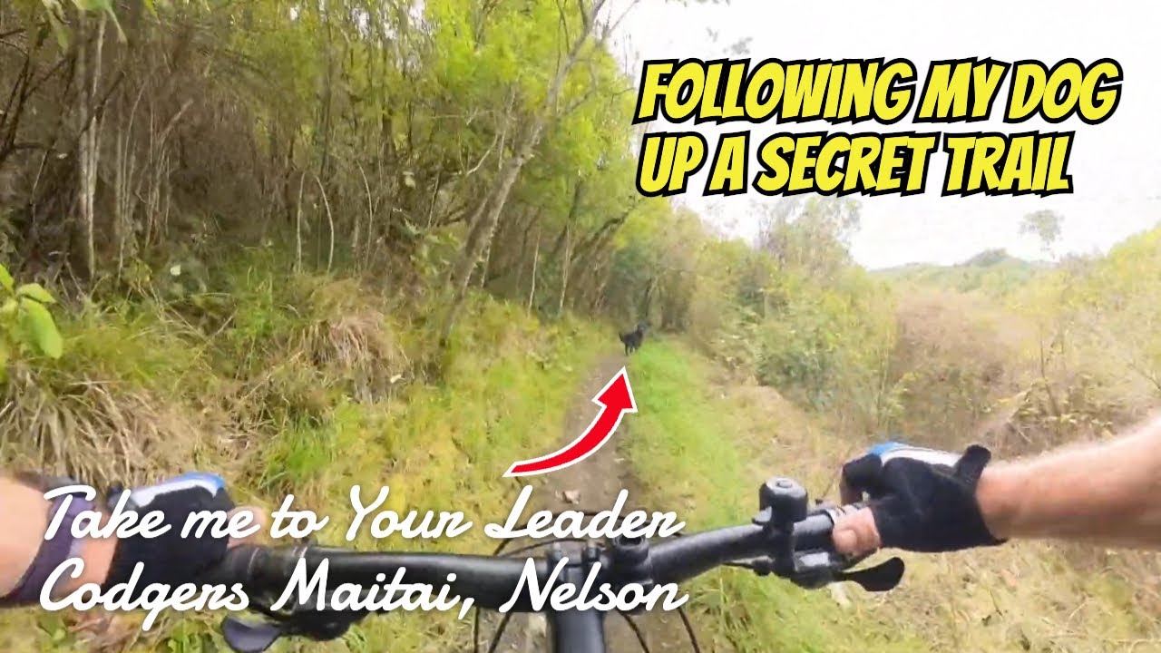 Following my Dog Up a Secret Trail! (