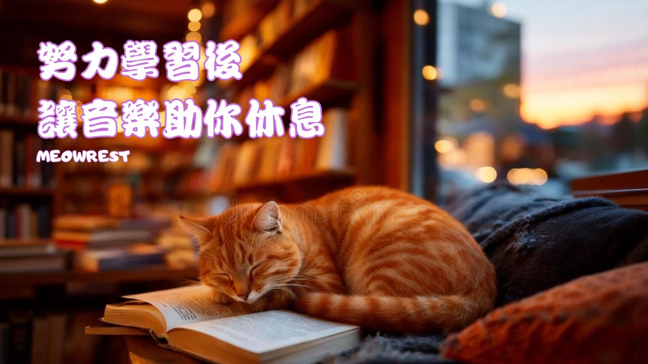 (1時間無廣告) 努力學習後 讓音樂助你休息💤