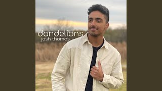 Video thumbnail of "Josh Thomas - dandelions (full rewrite)"