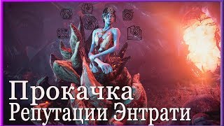 Warframe стрим, Прокачка репутации Энтрати, Камбионский Дрейф