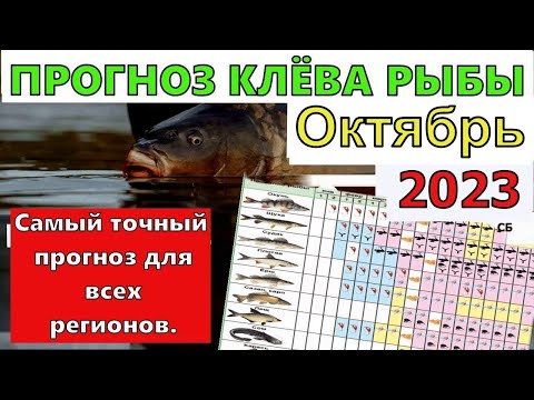 Лунный календарь клева рыбы на Октябрь 2023 года Календарь клева рыбы на ОКТЯБРЬ Прогноз клева