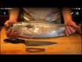 《鰹[ハガツオ］のさばき方》・・・・大和の 和の料理《魚のさばき方》
