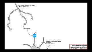 Pharmacology of Parkinson's Disease