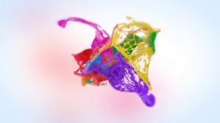 Vivid Liquid Logo Reveal - After Effects Template