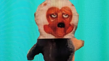 How to find Beach Bear Reggie in find the red panda