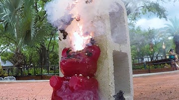 Caution! Explosive Gummy Bear! | Street Science