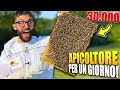 30.000 API IN MANO! - Apicoltore per 24H | Lavori in Corso 2 🚧 Ep.2