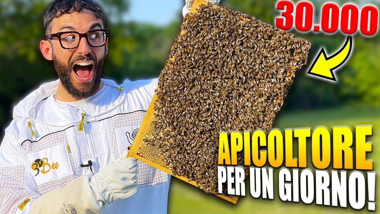 Mano Api 30.000 API IN MANO! - Apicoltore per 24H | Lavori in Corso 2 🚧 Ep.2 ...