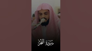 تلاوة طيبة من  سورة الفجر |رعد الكردي #قران_كريم