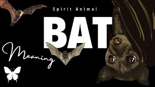 Bat Spirit Animal | BAT Spirit Guide| Bat Symbolism | Bat Totem Details