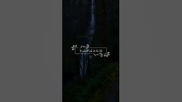 إِل‍َّ‍اۤ ءَالَ لُوطٍ🌱| تلاوة هادئة تُريح الأعصاب ♥️😌 بصوت #هزاع_البلوشي 🍃💚 أرح سمعك و قلبك 💙🎧