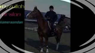 Feyzullah Arslan Bi̇r Bakişin Yeter