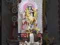 Charoda maa Saraswati Puja #minivlogshorts #dailyvideoblog #enjoywithshivani #treadingshorts #virl