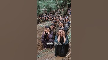 Thảm sát Mỹ Lai. Lịch sử Việt Nam #lichsuvietnam