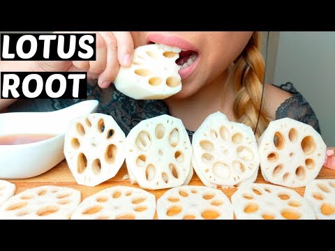 ASMR LOTUS ROOT 먹방 Crunchy Eating Sounds *No Talking* suellASMR