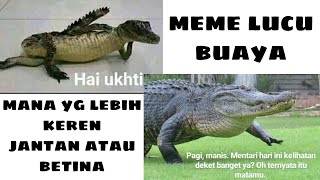 Meme Lucu buaya darat 🐊 Asupan meme warga  62 ukhti buaya betina Vs jantan