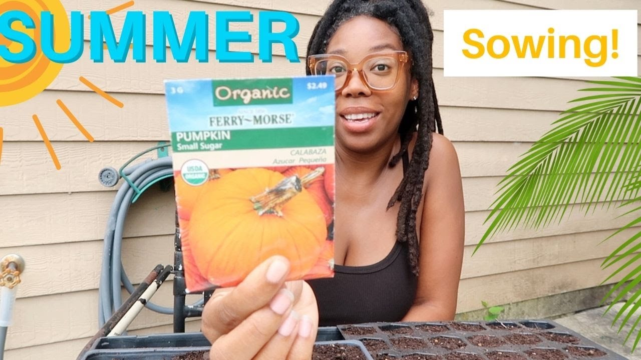 SUMMER Seed Sowing 2023 😃🍉☀️( It's Not Too late )