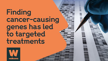 Decoding cancer: how genomics is transforming treatment | Wellcome