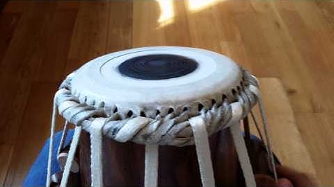 TransTabla #52 6.25" Sheesham at G