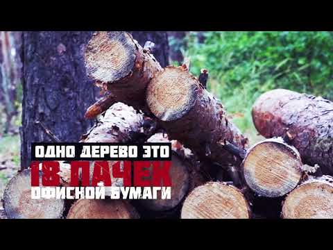 Макулатура ru