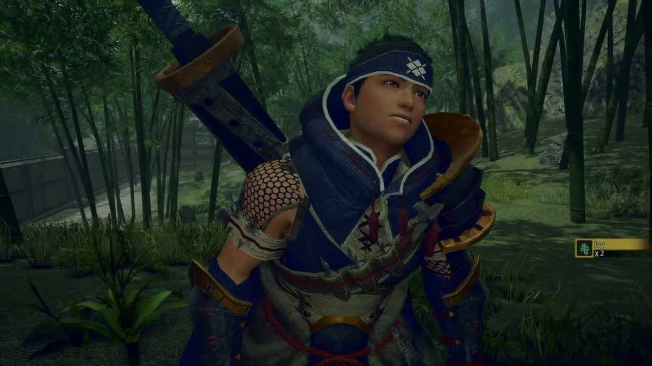 Monster hunter rise part 2 the hunt