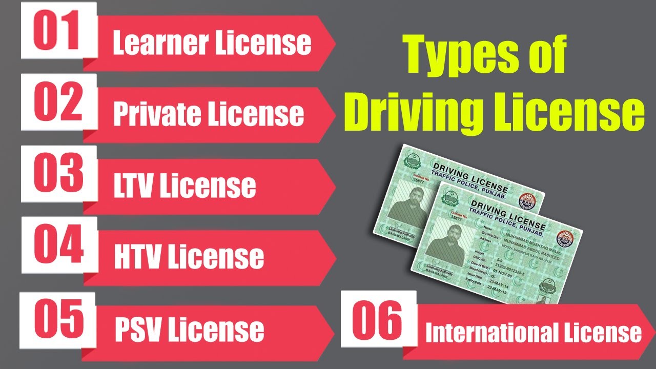 License types