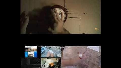 Up To Faster 21 Parison To Buttered Side Down (Reupload)