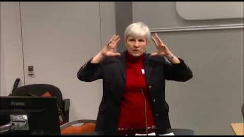 Prof Shelley Rigger, Politics in Taiwan: Voting for Democracy Revisited, SOAS - DayDayNews