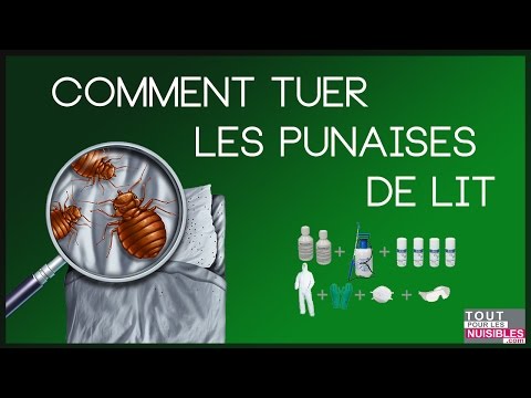 Vidéo: Zonder Pour Les Punaises De Lit: Mode D'emploi Du Produit, Composition Du Médicament. Comment L'élever ? Revue Vue D'ensemble