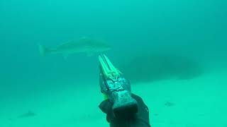 Pesca Submarina En El Estrecho, Fusil Ckv-Ffsub Kraken 100-110