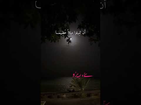 راحة الله جيش ريرو فلسطين حرة اكسبلور قرآن قران كريم محمد اللحيدان جمعة مباركة جيش ريرو