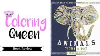 Animals Night and Day - Coloring Book Review