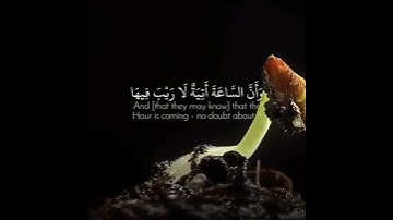 من أروع تلاوات القرآن الكريم بصوت جميل جدا / ماشاء الله تبارك الرحمن