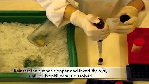 Midiprep, Part I - Preparation of Cell Suspension Buffer