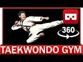 360° VR VIDEO - Best Taekwondo Martial Art - VIRTUAL REALITY 3D