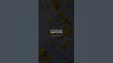 والذين صبروا ابتغاء وجه ربهم  #سورة_الرعد #ياسر_الدوسري #قرآن #quran #follow #fyp