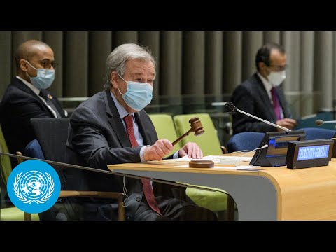 Palestine: 'Situation continues to pose significant challenge to Int'l Peace & Security' - UN Chief