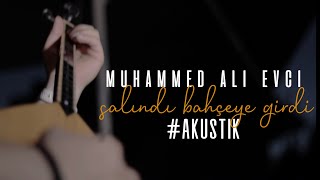 Muhammed Ali Evci - salındı bahçeye girdi #akustik #video #sofasounds Resimi