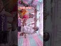 welcome to My profile #haldi#setup#short video #viralvideo #india #reels