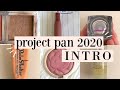 PROJECT PAN 2020 introduction | challenging myself this year!