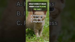 Cats Quiz 8 - Cat Trivia Tails: Quick Feline Fun! 🐱🎉#cat #quiz #quiztime