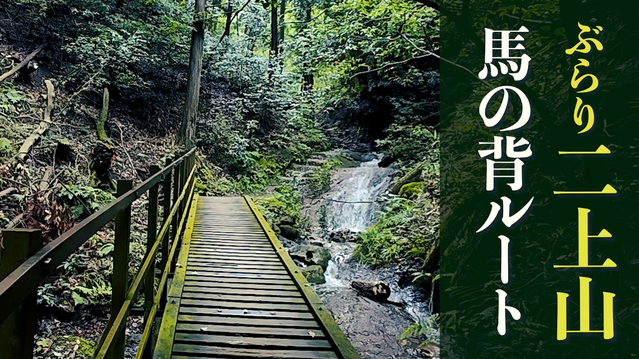 37 山採り　シャラノキ Mt. Nijo] Hiking to Me-dake via the Umanose Trail! (July 2026
