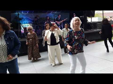 Harvest 100 Chickens \u0026 Chicken Eggs, Use Truck Transport Many Chicken Eggs Go To Market Sell