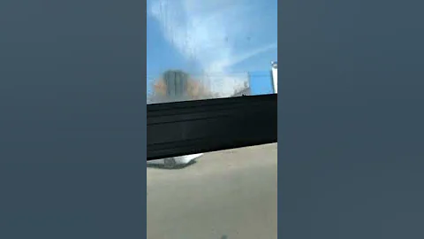 #animallover #cat #funny #dance #tequedegrande #loveanimals #karolg #humor #tqg #shakira