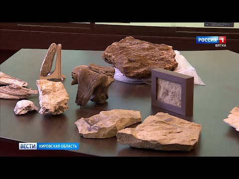 В Вятском палеонтологическом музее подводят итоги полевого сезона (ГТРК Вятка)