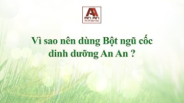 Vì sao nên dùng Bột ngũ cốc dinh dưỡng An An ?