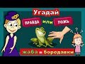 Угадай : ПРАВДА или ЛОЖЬ ? Тесты для детей от бабушки Шошо