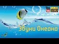 9 часов 🎵285 Гц 528 Гц 852 Гц🎵 Лучшая Лаунж Музыка для Релакса 🎵 Спокойная Эмбиент Мелодия