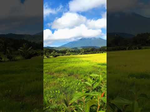 Video: Banahaw Dağı təsviri və fotoşəkilləri - Filippin: Luzon Adası